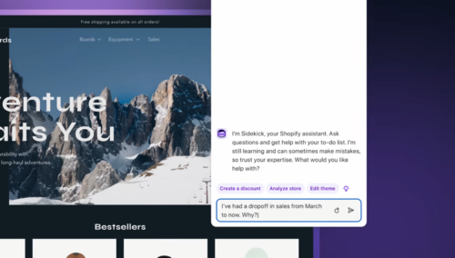 How Shopify Sidekick Works Step 1 (Give Sidekick a prompt)
