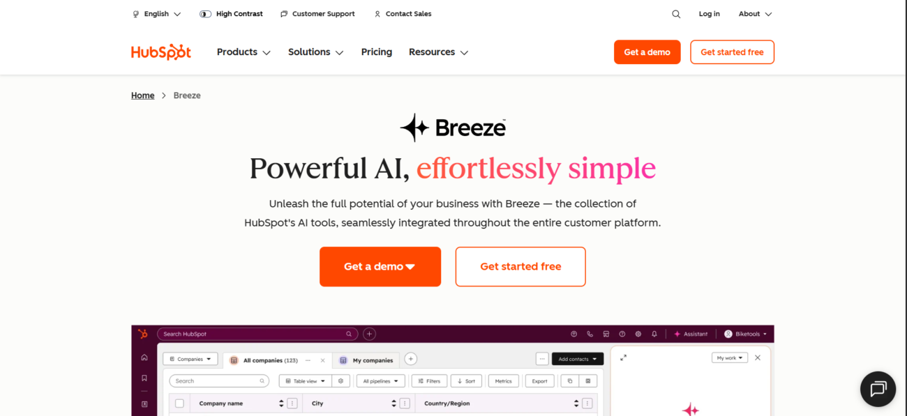 HubSpot AI